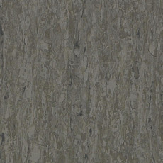 Линолеум Tarkett iq Optima GREY BROWN 0898 фото 1 | FLOORDEALER
